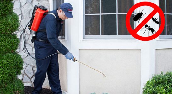 Yüreğir Dezenfeksiyon böcek ilaçlama ve haşere kontrolü — ilaclama-tr.com